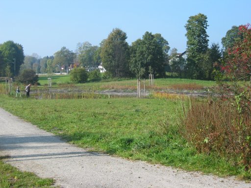 Naturnahe Fläche im Stadtpark Grafing